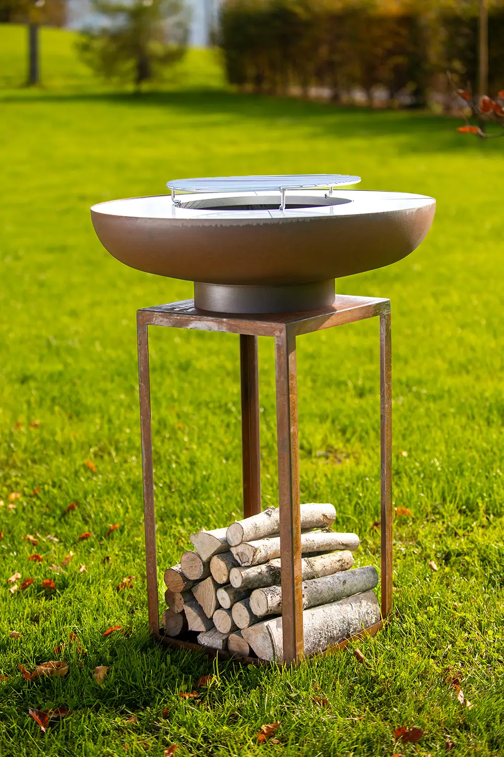 Barbecue Ara - immagine 4